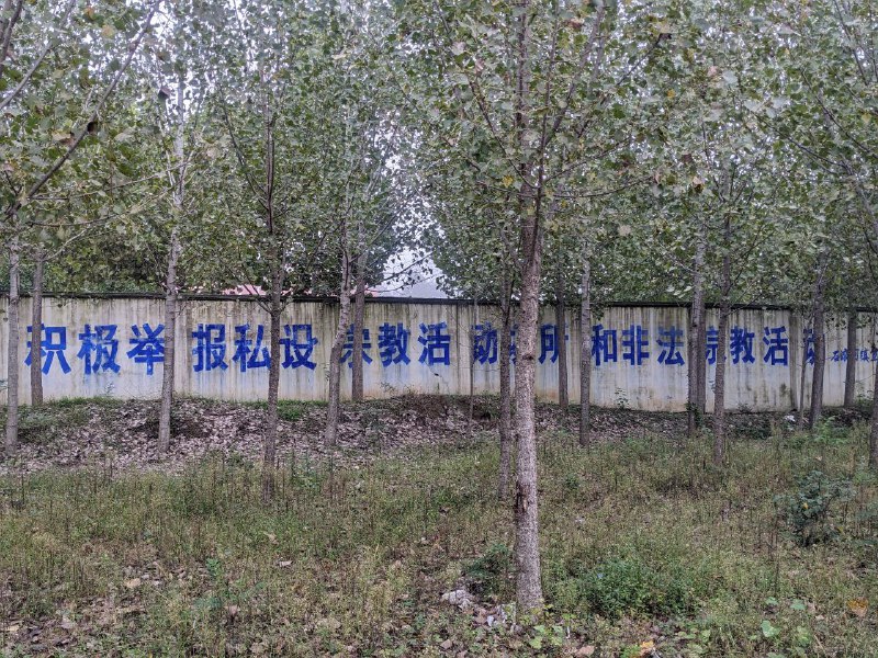 李老师不是你老师 (@whyyoutouzhele)