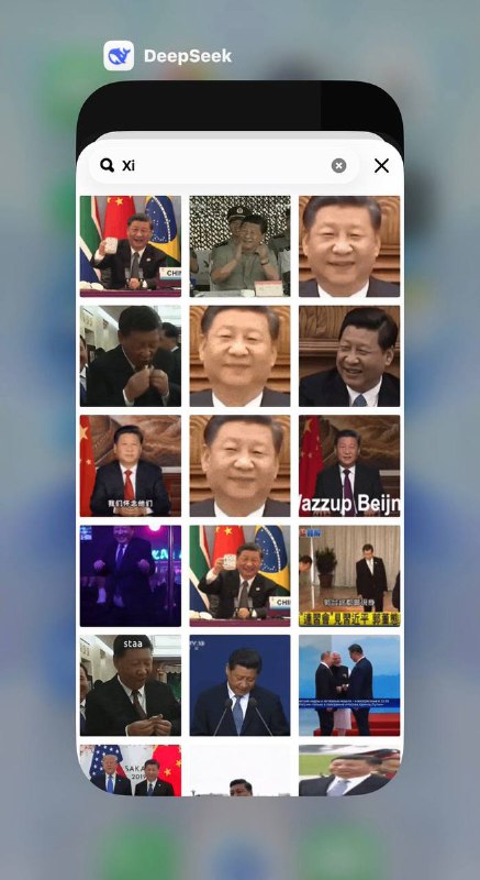 网友投稿：DeepSeek 客服页面里的 GIF 功能疑似直接调用了 WhatsApp 的库，没做关键词过滤