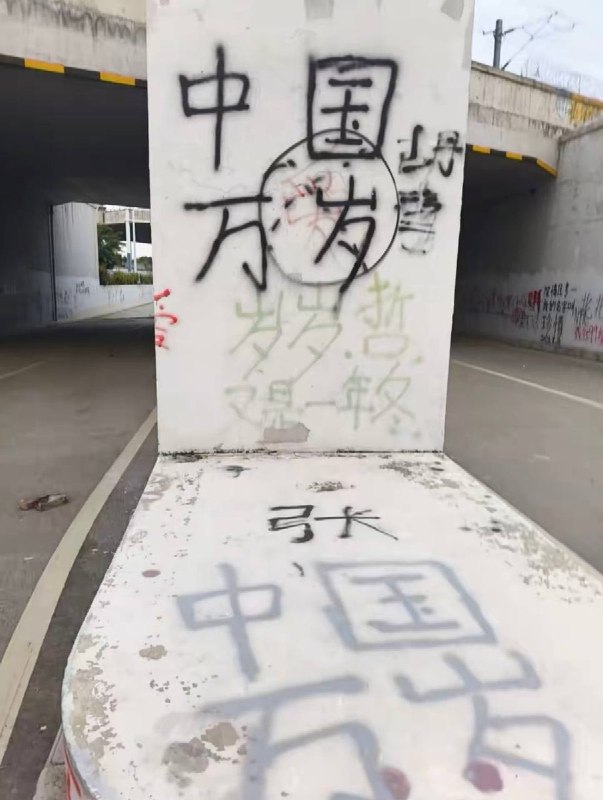 9月12日，据网友反映，安徽阜阳和平公园一角有大量文字涂鸦，其中包括“中国万岁世界和平”、“走资派还在走”、“工人阶级必须领导一切”、“千万不能忘记阶级斗争”等极具时代色彩的历史标语