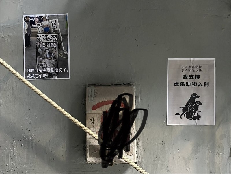 6月10日，重庆“山姆打包哥”虐狗抗议有网友去其他的城市张贴、分发宣传海报查看原文6月10日，重庆“山姆打包哥”虐狗抗议有网友去其他的城市张贴、分发宣传海报查看原文