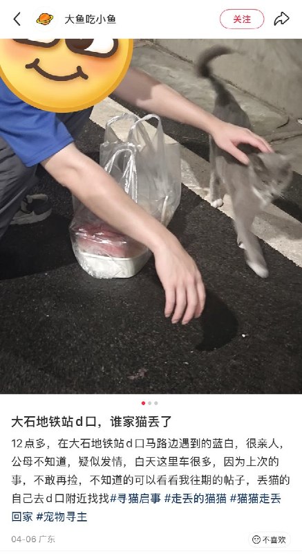 “估计哪家少爷又发力了”近日，一名广东网友发帖称，他晚上出门拿快递时捡到一只猫，回到家后便在本地遛狗群里发了寻找主人的消息，同时在小红书上也发布了寻找主人的帖子