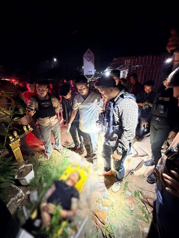 1月14日，据柬埔寨媒体报道，根据柬埔寨国家警察总署总监苏通的指示，西哈努克省警方在省警察局局长苏诺塔的指挥下，破获一起非法持枪案