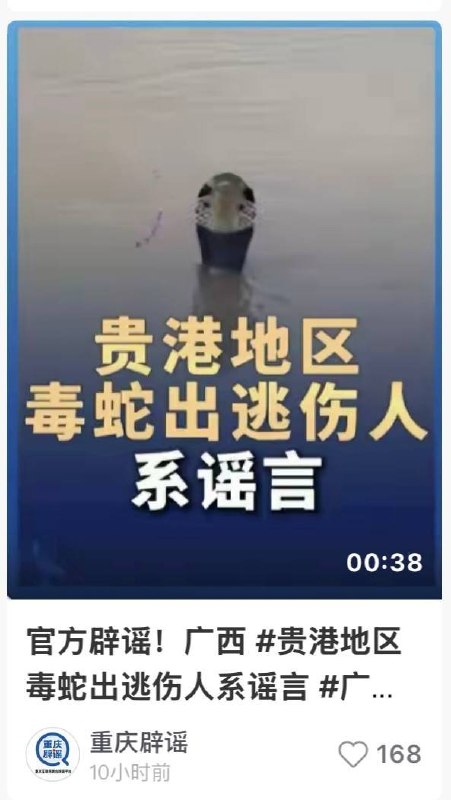 “辟的一手好谣言”7月7日，横州市云表镇，一小孩被出逃的眼镜蛇咬伤后，因抢救不及时而去世