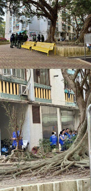 11月29日，有香港市民拍摄到到「关爱队」在街上拦住路人，强行让对方套上关爱队马甲再拍照，充当关爱队的“临时演员”