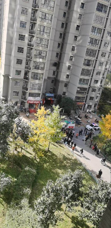 网友投稿：11月11日，陕西省西安市兴隆小区，区业主们按时将水费交给物业公司，谁知物业竟私吞未转供水公司，导致整个小区供水中断，居民用水成难题