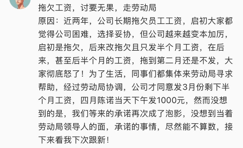 6月5日，一网友表示长期被公司欠薪讨要无果后，与同事集体前往劳动局协同协商，但是公司在劳动局承诺发工资之后依旧不履行承诺