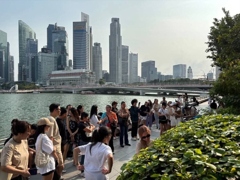 8月30日，有网友上传图片显示，新加坡滨海艺术中心附近已设立纪念旺旺及三只幼犬的长椅