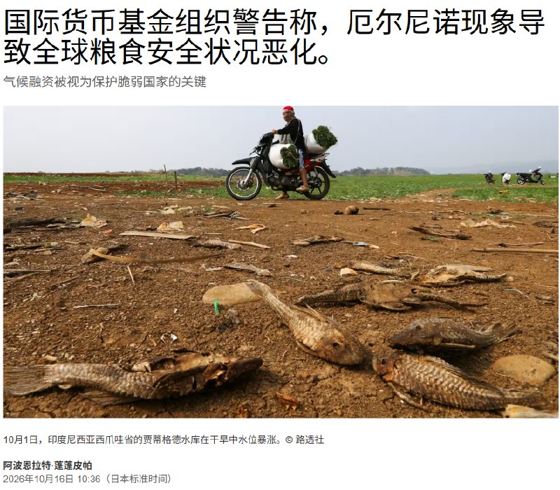 10月16日，据《日经亚洲》报道，国际货币基金组织（IMF）财政事务部主任罗德里戈·巴尔德斯（Rodrigo Valdes），周四在国际货币基金组织和世界银行年会上表示，由于亚洲和非洲持续干旱导致农作物受损，8 月份全球食品价格达到 2022 年底以来的最高水平