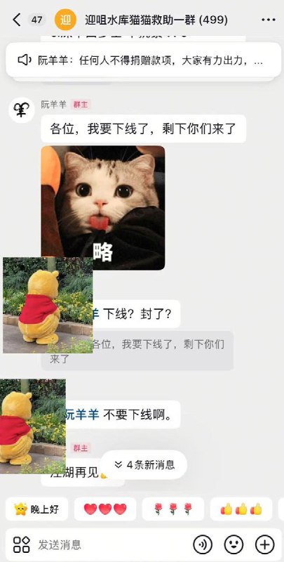 针对迎咀水库放生猫事件，目前，事件目击者兼救援记录者阮羊羊发布的视频已被下架，其抖音账号也遭到封禁