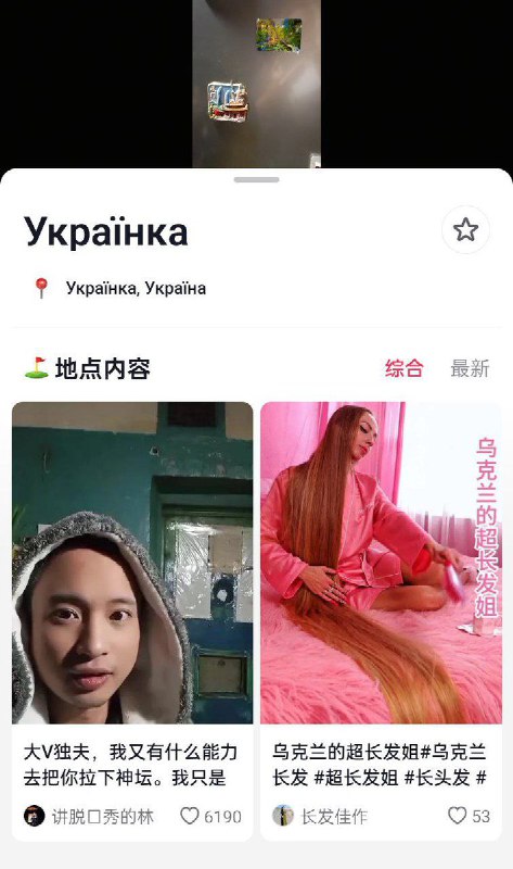 11月27日，林某某在乌克兰发视频，称自己已整理出 1600 页资料（与“独夫之心”相关的有 383 页），其余几万页还在打印