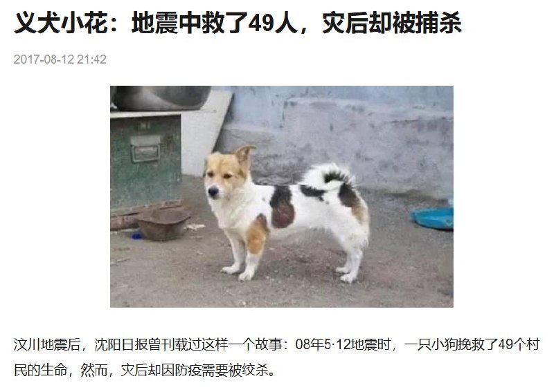 “十几年了依旧没一点长进”近日，因为重庆虐狗事件，社交平台再次流传“义犬小花”的故事