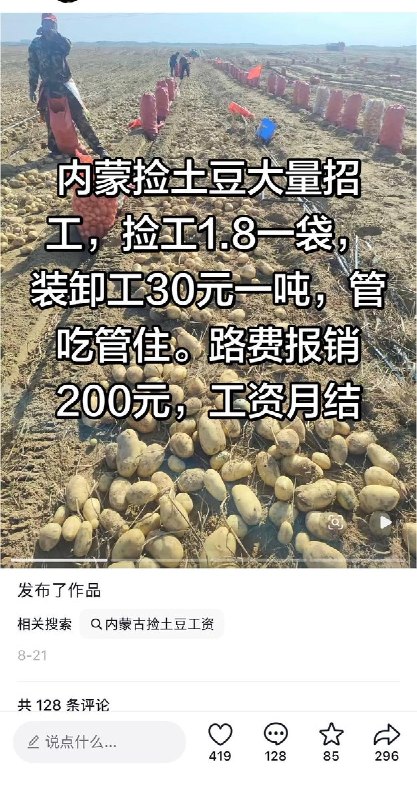 和父母捡土豆的孩子近日，内蒙古土豆进入集中采收期，大量外地务工人员前往当地参与土豆采收