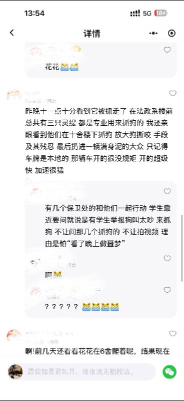 8月31日，河北保定，华北电力大学校园内，有学生发现两名男子深夜携带大型猎犬进入校园捕杀流浪动物，现场传出阵阵惨叫声