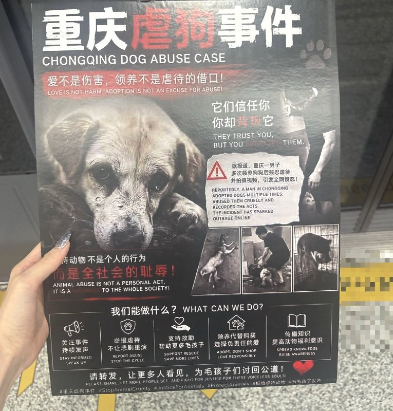 6月10日，重庆“山姆打包哥”虐狗抗议有网友去其他的城市张贴、分发宣传海报查看原文6月10日，重庆“山姆打包哥”虐狗抗议有网友去其他的城市张贴、分发宣传海报查看原文