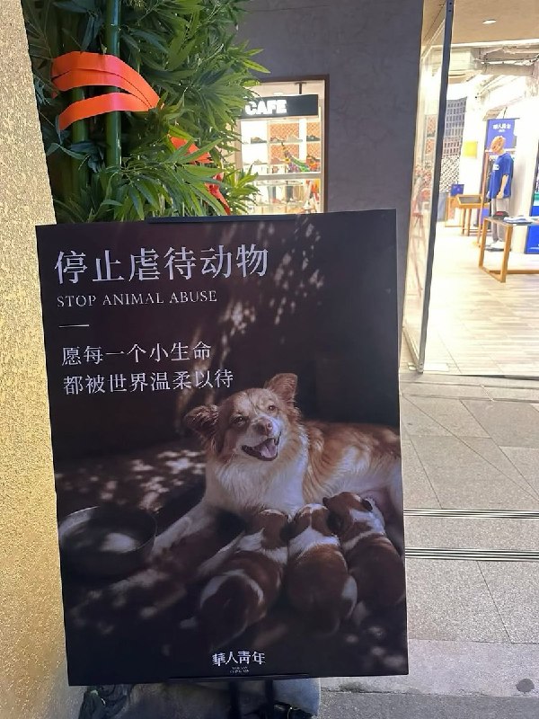 揭阳虐狗事件发生后，杭州西湖边银泰In77的巨屏和商场店铺，以及香港等地，纷纷展示巨幅海报、为遭虐杀至死的母犬旺旺及其幼崽发声