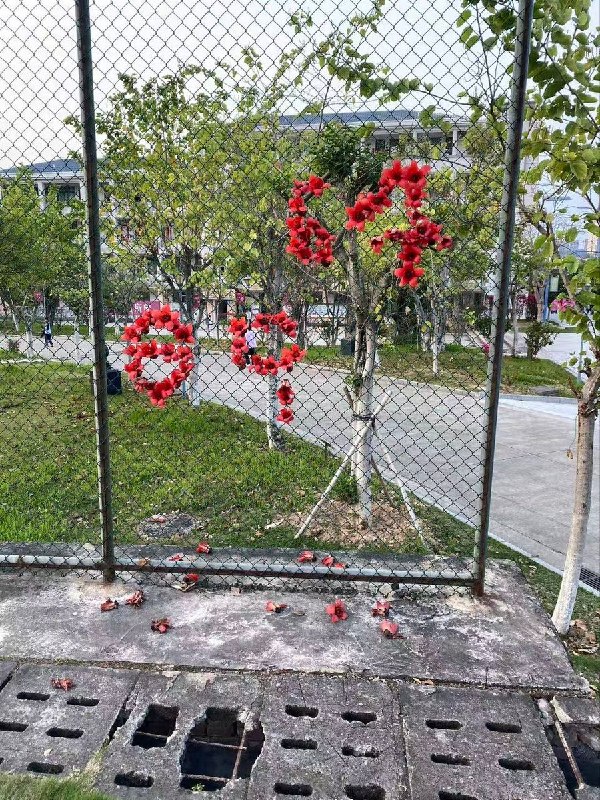 网友投稿：3月19日，国内某学校铁丝网上出现鲜花拼成的“8964”