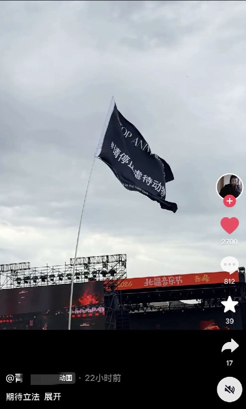 从街头到音乐节，各地的网友持续接力，声援广东揭阳遭虐杀小狗“旺旺”