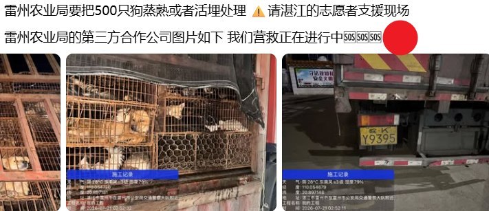 7月21日，广西玉林“狗车被拦后失踪”事件出现后续