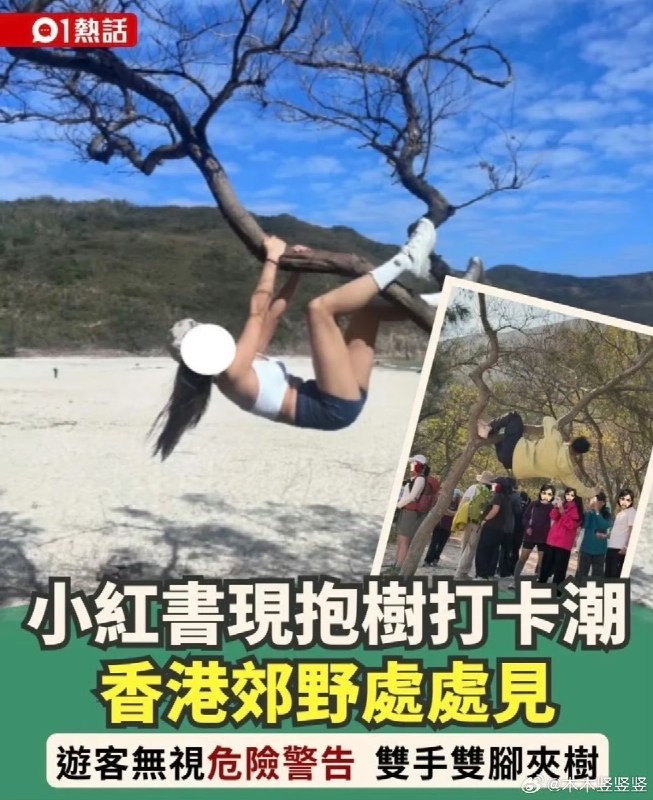 近日，港媒报道，小红书上日前掀起一股「抱树打卡」热潮，不少内地游客来香港郊外公园游玩时，不顾政府部门的危险警告，爬上树木只为打卡拍照