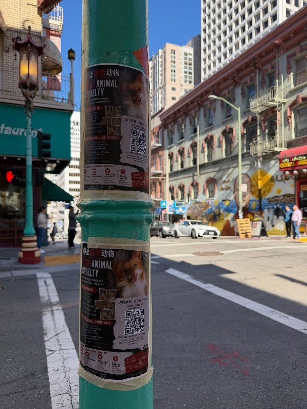 【广东揭阳小狗旺旺】7月25日，一名网友在旧金山华埠张贴中英文海报，向当地居民和游客介绍广东揭阳“旺旺”虐狗事件