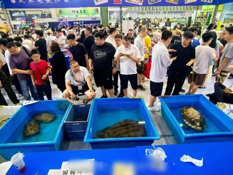 “爬宠经营贷”6月19日，中国工商银行北京平谷支行正式推出了国内首款“爬宠专项经营贷”