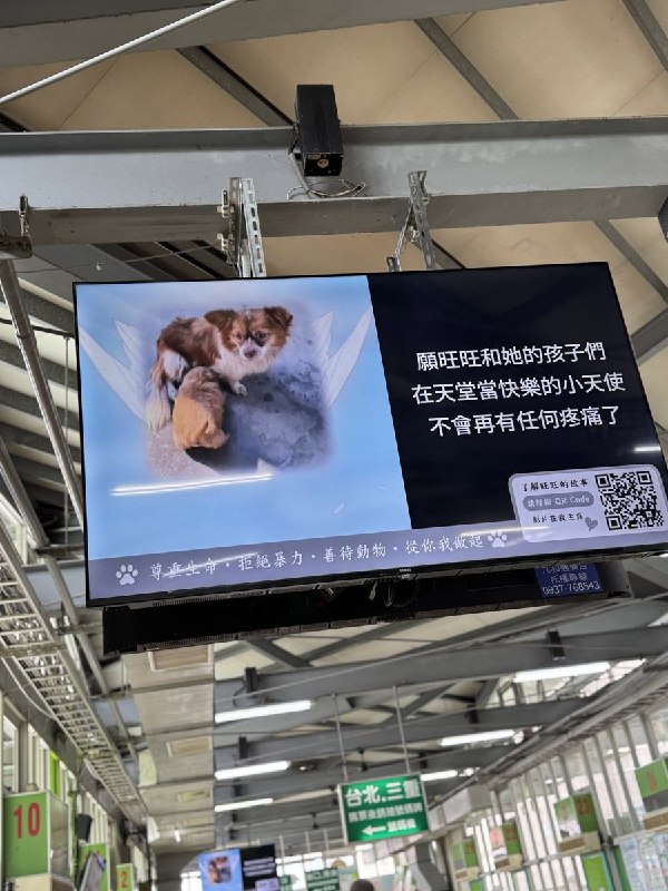 【广东揭阳小狗旺旺】7月27日，有台湾网友发布照片称，善心人士出资在中港转运站投放电子屏广告，声援遭虐待的狗妈妈旺旺及其三只幼犬