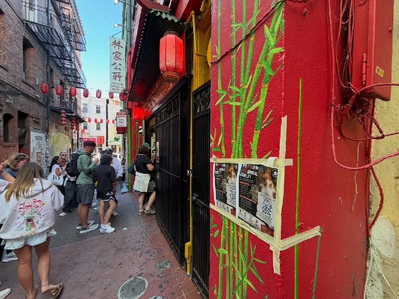 【广东揭阳小狗旺旺】7月25日，一名网友在旧金山华埠张贴中英文海报，向当地居民和游客介绍广东揭阳“旺旺”虐狗事件