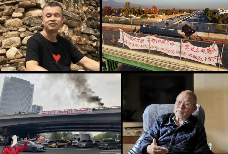 China Action (@china_action)