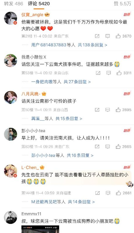 11月4日，在赵立坚IP显示为云南，发布的一则日常动态的微博评论区中，大量网友就“云南野人孩子”事件留言刷屏请愿，呼吁关注与调查此事