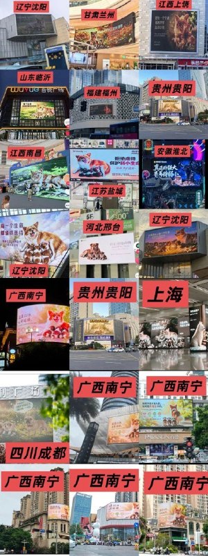 近日，广东揭阳流浪狗“旺旺”遭虐杀事件持续引发关注