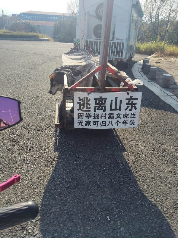 12月6日，网友在福建省拍到这位“逃离山东”男子，他的墙上的得标语赫然写着“因举报村霸文虎臣，无家可归八个年头”查看原文📝 引用推文:“逃离山东”12月3日，广东揭阳