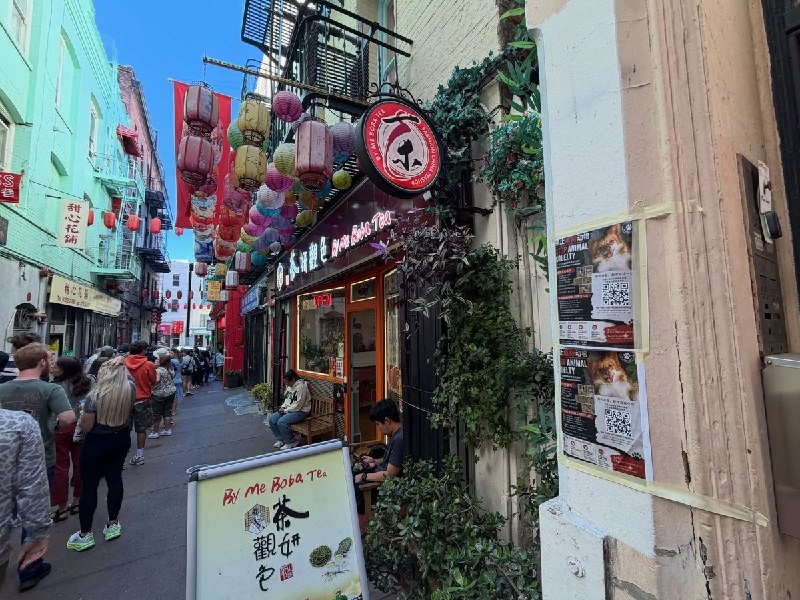 【广东揭阳小狗旺旺】7月25日，一名网友在旧金山华埠张贴中英文海报，向当地居民和游客介绍广东揭阳“旺旺”虐狗事件