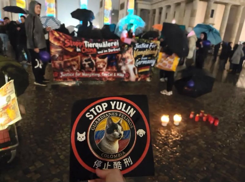 德国柏林民众冒雨集会，为遭虐杀母犬“旺旺”发声10月17日，德国柏林民众冒雨举行集会，声援“旺旺”和其他受虐动物