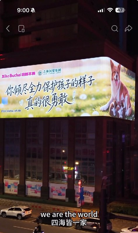 【揭阳虐狗事件】近日，据小红书相关话题讨论，各地动保行动者和商户以户外数字大屏、平面广告等形式，投放以“旺旺”为主题的公益海报，呼吁关注揭阳虐狗事件、反对虐待动物