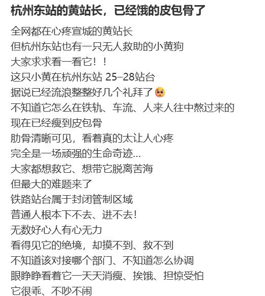 近日，有网友称，杭州东站 25 至 28 站台附近有一只黄色流浪狗长期滞留在铁轨站台夹缝区域图片显示，这只狗身体明显消瘦，肋骨清晰可见，活动区域靠近铁轨和护栏，存在安全风险网友称，自己早在 5 月 26 日就拍到过这只狗，“不止半个月”也有人表示曾尝试联系杭州东站电话但未能接通由于铁路站台属于封闭管制区域，普通市民无法自行进入救助，网友希望能找到铁路站方、车站派出所、铁路公安、动物救助组织等可对接渠道，尽快确认这只狗的现状并实施安全救助
