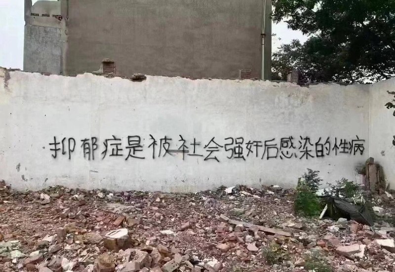 6月8日，有网友分享一张墙面涂鸦照片：“抑郁症是被社会强奸后感染的性病