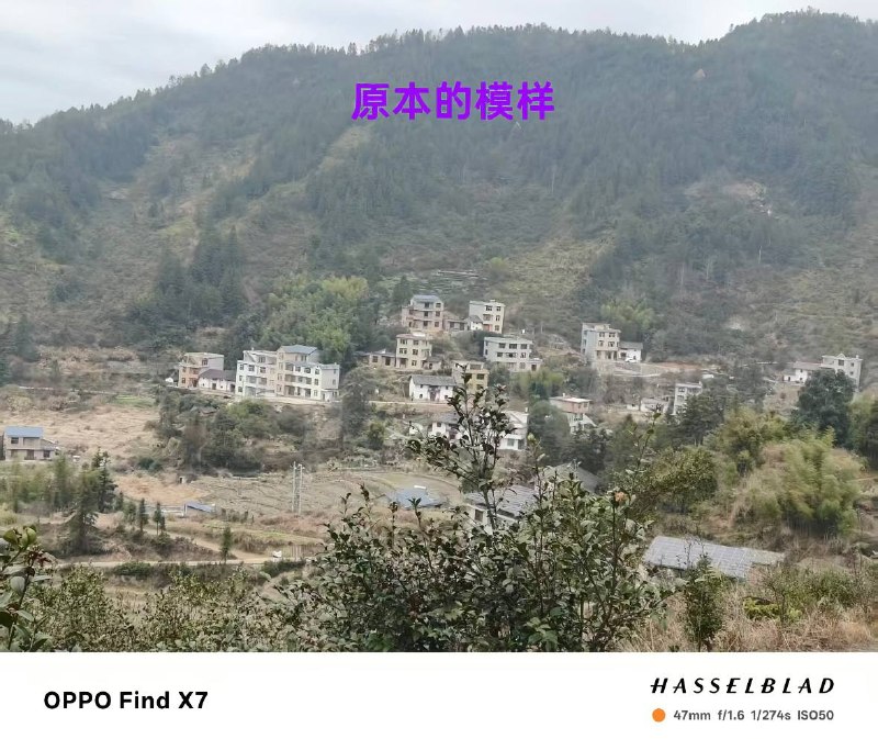 9月4日，江西吉安市遂川县因连日暴雨引发多地山体滑坡等灾害，大量民房被滑坡山体掩埋或冲毁，并造成灾区大面积断水、断电及断网