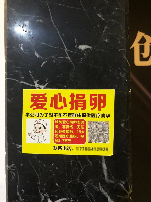 近日，《报导者》发布深度调查，揭开一条台湾女性赴中国地下实验室捐卵、取卵的跨境产业链