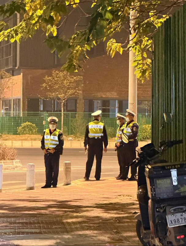 1月15号，广东省佛山市南海区大沥镇盐步平地九龙公园，