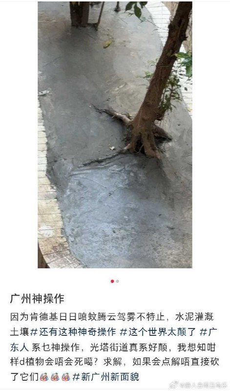 网友投稿10月28日，广州