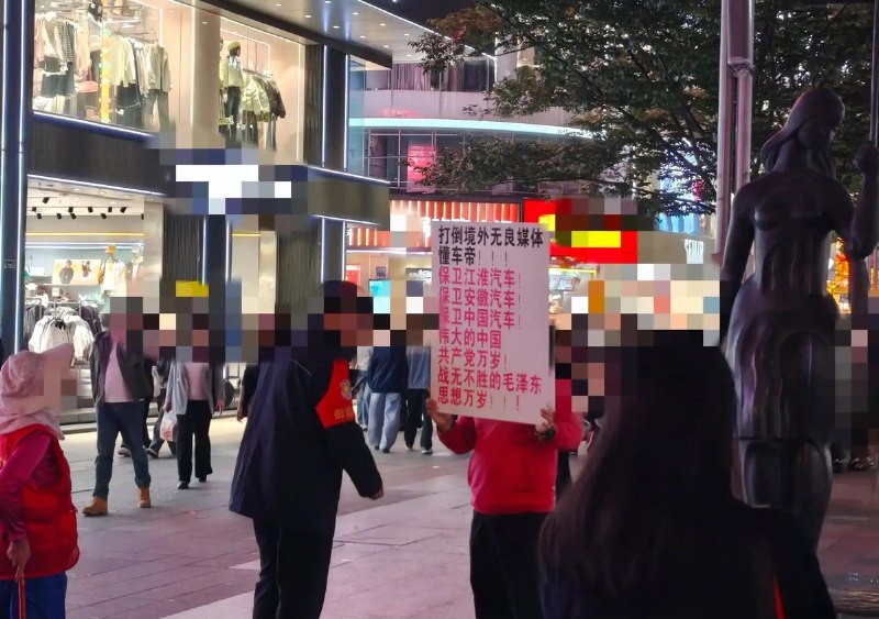 10月9日，有网友在合肥市淮河路步行街排到一男子举着牌子，上面写着“打倒境外无良媒体懂车帝”等标语