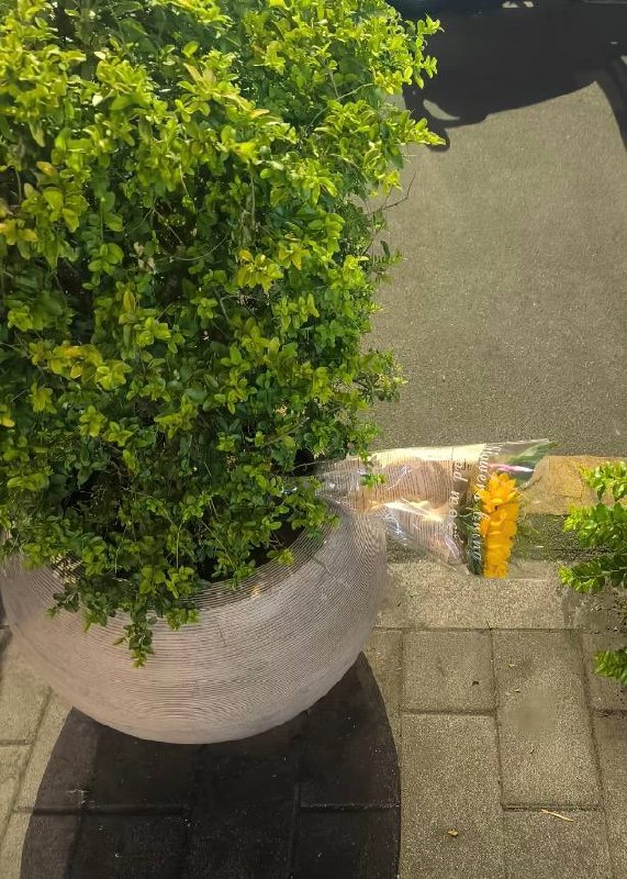 7月2日，西安赛格广场，有网友送来的鲜花上写着：“非常抱歉以这种方式认识您，一路好走，晚安严伯