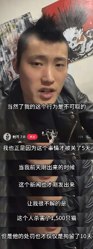 日前，上海街头，为了悼念那些被虐杀的小动物，街头行为艺术家鲍雨 进行艺术创作：他通过将动物布偶悬挂在树上，或以摔打等方式对其进行“破坏”，以艺术形式呈现暴力场景