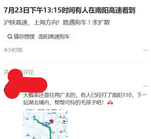 7月23日中午，河南南阳有网友在高速公路附近拍到一辆满载犬只的货车，大量犬只被关在多层铁笼内运输