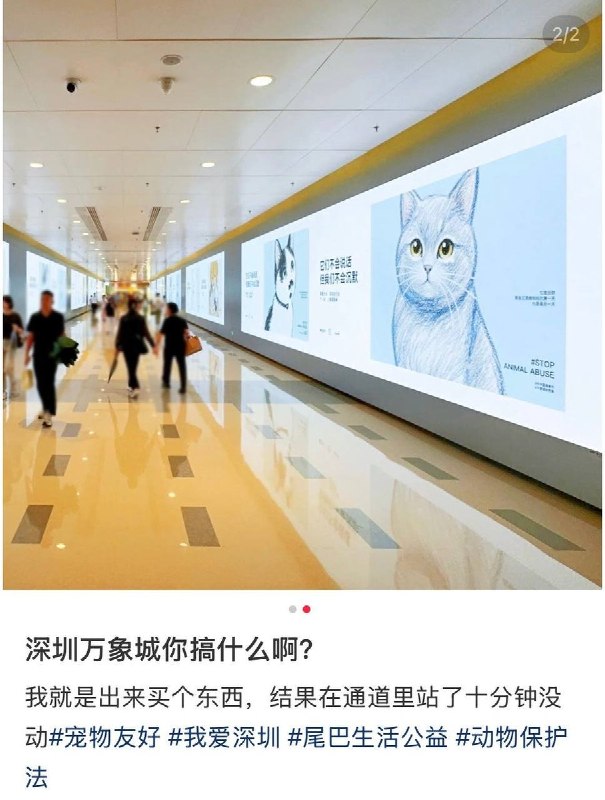 网友投稿：深圳万象城投放了一则反虐待公益广告，在小红书上短短时间就收获四千多赞