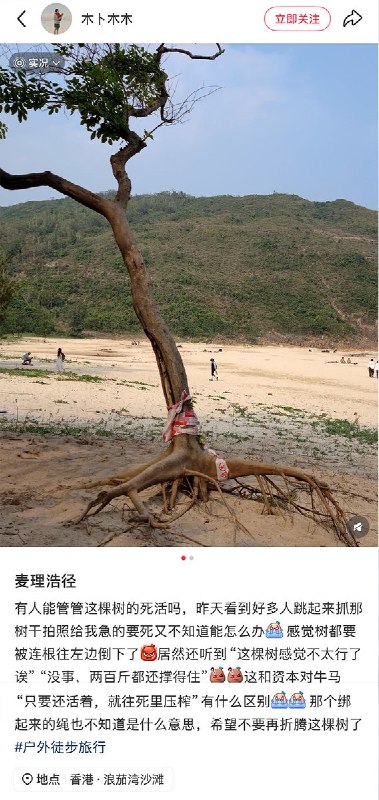 近日，港媒报道，小红书上日前掀起一股「抱树打卡」热潮，不少内地游客来香港郊外公园游玩时，不顾政府部门的危险警告，爬上树木只为打卡拍照