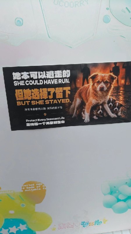 【广东揭阳小狗旺旺】7月28日，一名网友在老家一家不起眼的小咖啡馆内发现，店内张贴了多张反虐待动物海报，声援遭虐待的母犬“旺旺”