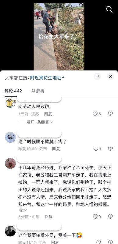 近日，华北平原进入秋收季节，河南、河北等地不少农民前往田间“捡花生”，由于田间捡花生的人较多，甚至有人被挤到田边的河里