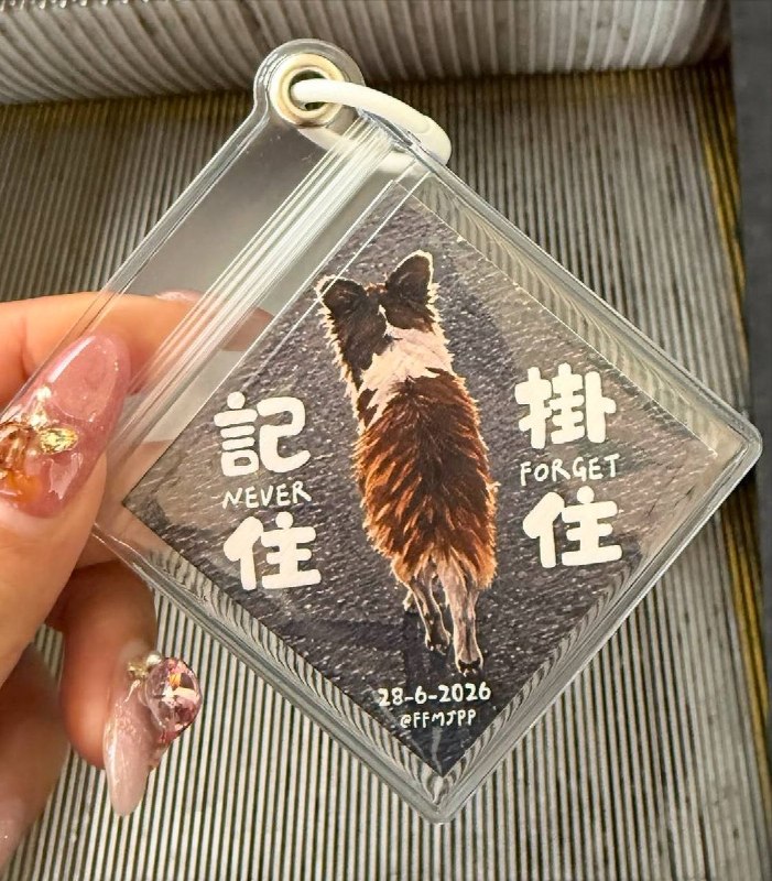 【广东揭阳小狗旺旺】7月25日和26日，香港动物权益协会与圣智院在铜锣湾合办了“再见旺旺”送别会