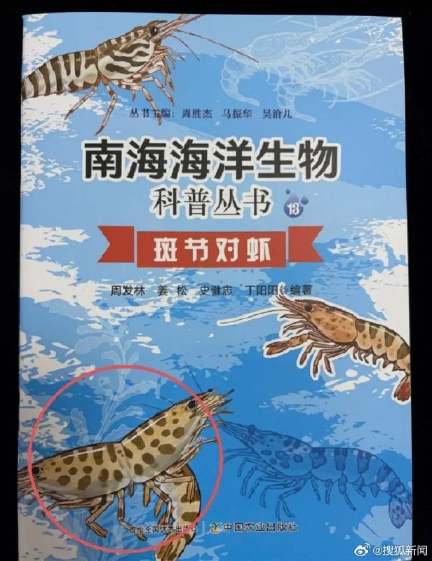 科普书封面现“双头虾”被召回，此前刚进“全国优秀”公示名单近日，中国农业出版社出版的《南海海洋生物科普丛书》，被读者指出封面和内页出现“双头虾”配图